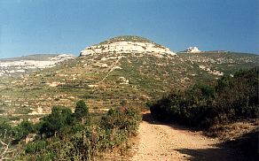 Tete Ronde